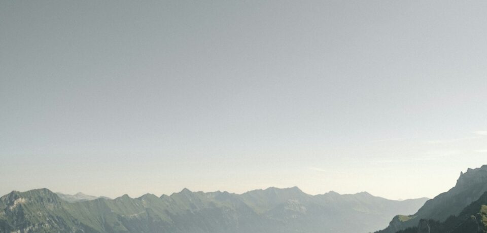 yaks-mount-shasta-restaurants-norcal