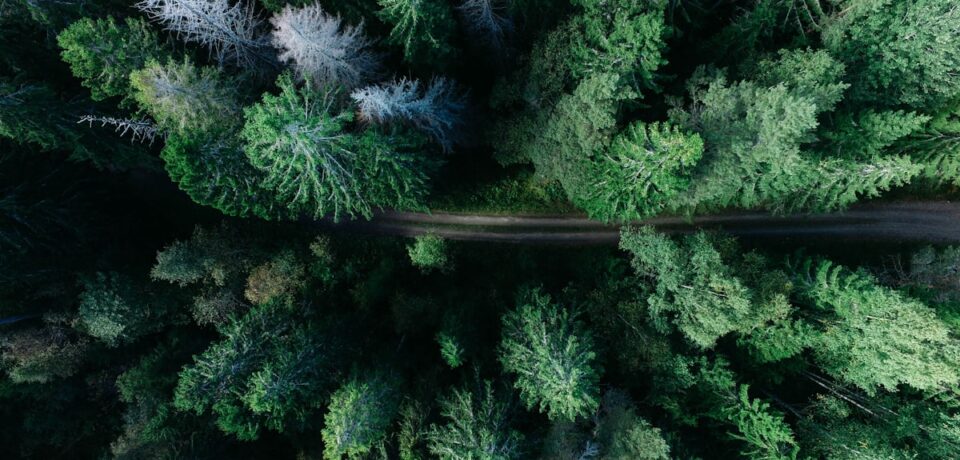 Spring outdoor scenery Northern California Dunsmuir area Spring outdoor scenery Northern California Dunsmuir area